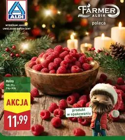 ALDI Maliny 200g oferta