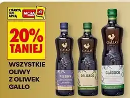 Biedronka Oliwa classico Gallo oferta