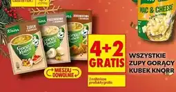 Biedronka Borowikowa z grzankami Knorr Gorący Kubek oferta