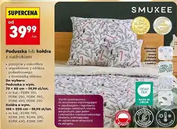 Biedronka Kołdra z nadrukiem 160 x 200 cm Smukee oferta