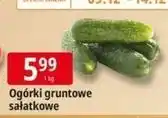 E.Leclerc Ogórek gruntowy oferta