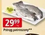 E.Leclerc Pstrąg patroszony oferta