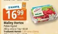 E.Leclerc Truskawki bez szypułek Hortex oferta