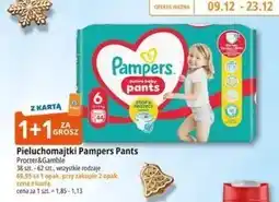 E.Leclerc Pieluchomajtki 6 Pampers Pants oferta