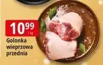 E.Leclerc Golonka przednia oferta