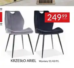 Abra Krzesło Ariel oferta