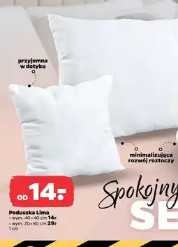 Netto Poduszka oferta