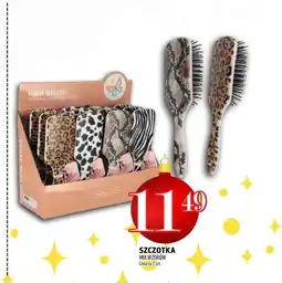 Topaz Szczotka Eos oferta