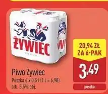 ALDI Piwo Żywiec Jasne Pełne oferta