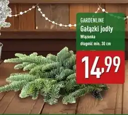 ALDI Gałązki jodły 30 cm Gardenline oferta