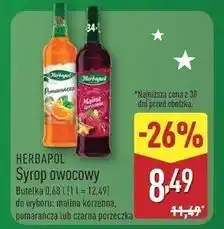 ALDI Syrop czarna porzeczka Herbapol oferta