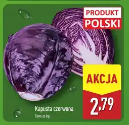 ALDI Kapusta czerwona Aldi oferta