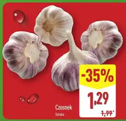 ALDI Czosnek 1 szt. Aldi oferta