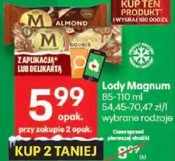 Delikatesy Centrum Lody Magnum wybrane rodzaje oferta