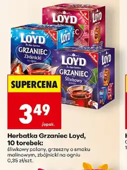 Biedronka Loyd Herbatka Grzaniec oferta