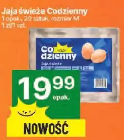 Delikatesy Centrum Jajka świeże Codzienny rozmiar M oferta