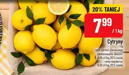 Polomarket Cytryny POLOmarket oferta