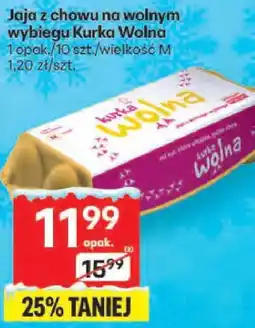 Delikatesy Centrum Jaja Jaja z chowu na wolnym wybiegu Kurka Wolna oferta