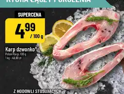 Polomarket Karp dzwonko Polski Karp oferta