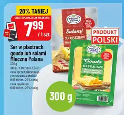 Polomarket Ser w plastrach gouda lub salami Mleczna Polana oferta