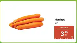 Biedronka Marchew luz Biedronka oferta