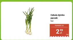Biedronka Cebula dymka pęczek luz Biedronka oferta