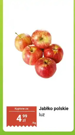 Biedronka Jabłko polskie luz Biedronka oferta