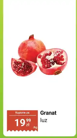 Biedronka Granat luz Biedronka oferta