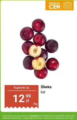 Biedronka Śliwka luz Biedronka oferta