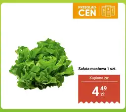 Biedronka Sałata masłowa Biedronka oferta