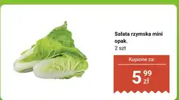 Biedronka Sałata rzymska mini 2 szt. Biedronka oferta