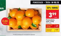 Biedronka Pomarańcze 1,5 kg Biedronka oferta