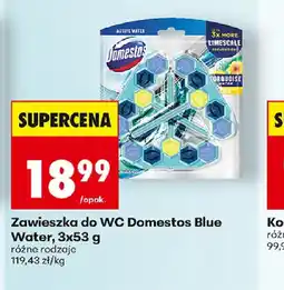 Biedronka Zawieszka do WC Domestos Blue Water oferta