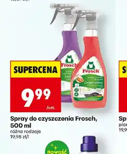 Biedronka Frosch Spray do czyszczenia oferta