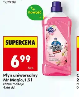 Biedronka Płyn uniwersalny Mr Magic oferta