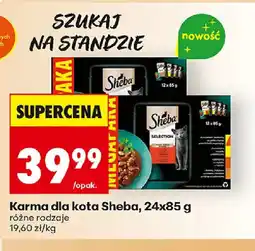 Biedronka Karma dla kota Sheba oferta