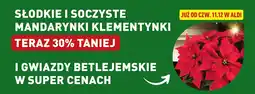 ALDI Słodkie i soczyste mandarynki klementynki oferta