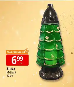 E.Leclerc Znicz choinka 30 cm oferta