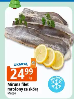 E.Leclerc Miruna mrożona Mateo oferta
