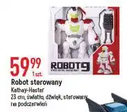 E.Leclerc Robot 23 cm Kathay-Haster oferta