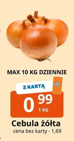 E.Leclerc Cebula żółta oferta