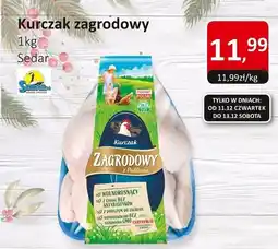Market Point Kurczak zagrodowy Sedar oferta