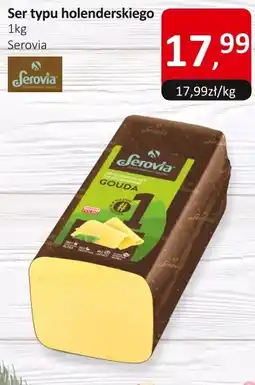 Market Point Ser typu holenderskiego Serovia oferta