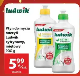 Auchan Płyn do mycia naczyń miętowy Ludwik oferta