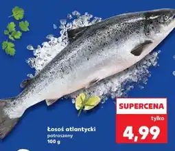 Kaufland Łosoś atlantycki oferta