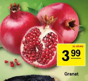 Gram Market Granat oferta