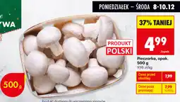 Biedronka Pieczarka, opak. 500g oferta