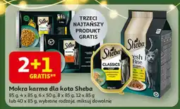 Auchan Karma dla kota drobiowe smaki Sheba Nature's Collection oferta