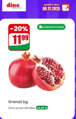 Dino Granat kg Dino oferta
