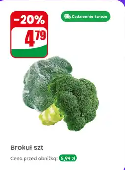 Dino Brokuł szt Dino oferta